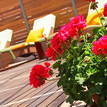 Diana - New Heated Pool Apartment Bol